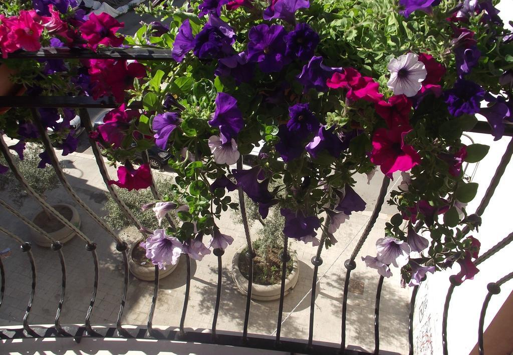 B&B Al Vecchio Borgo Barletta Exterior photo